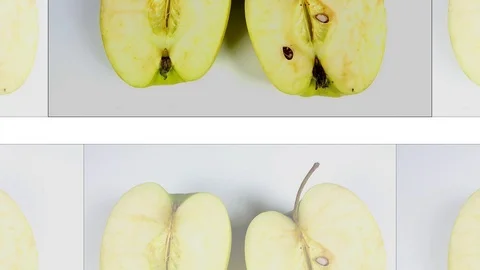 Withered old rotten apples next to running hourglass Stock Footage 105012592