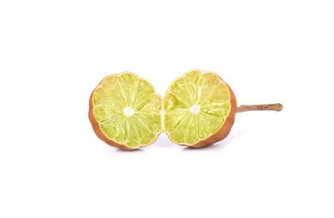 Withered or Dried lime isolated on white background Stock Photos