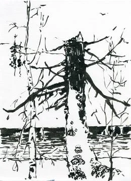 Withered pine against the backdrop of a lake or river. Wilderness. Stock Illustration