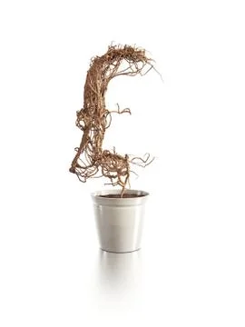 Withered pound tree Stock-Illustration