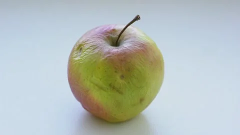 Withered ripe apple isolated on white background close up Stock Footage 170561355