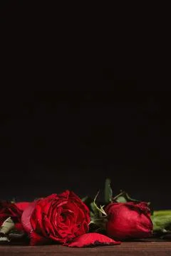Withered rose on dark gray background and wooden table with fall petals and l Foto stock