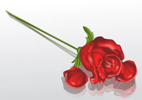Withered rose Stock Illustration