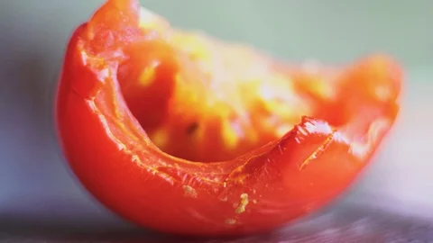 Withered tomato close-up Stock Footage 106862120