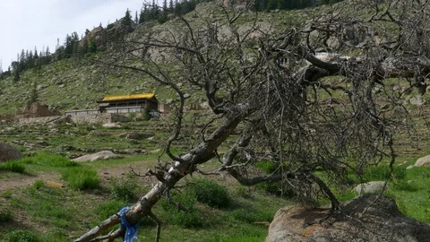 A withered tree against a rocky plain and a rocky mountain with a chapel. Stock Footage 90670848