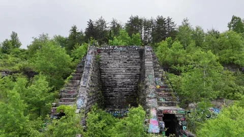 Withering Away - Syracuse, NY Stock Footage 336343916