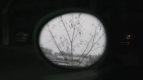 A withering tree from a side view mirror perspective Stock Footage 339156855