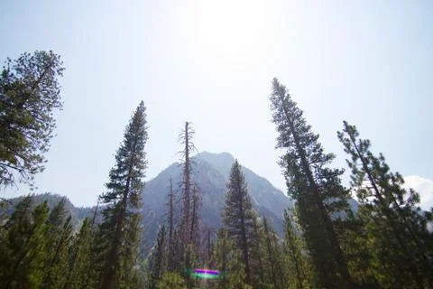 Within Kings Canyon Foto stock