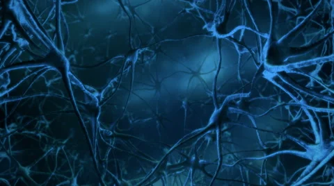 Within the Nervous System Stock Footage 62755784