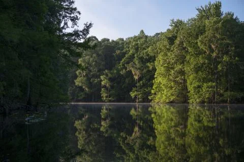 Withlacoochee Light Stock Photos