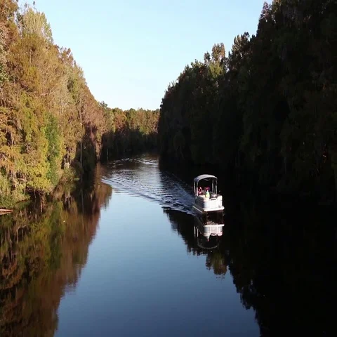 Withlacoochee River, Florida Stock Footage 69297360