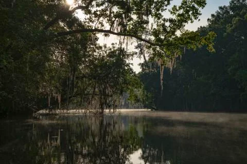 Withlacoochee River Stock Photos
