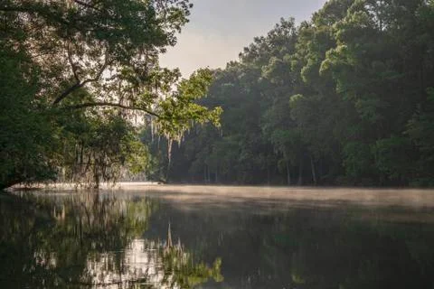 Withlacoochee River Stock Photos