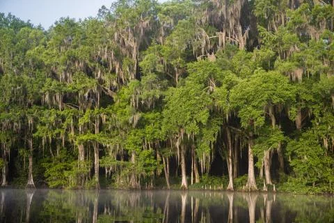 Withlacoochee View Stock Photos