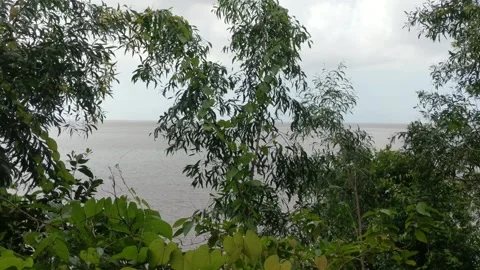 Without the vast expanse of ocean Stock Footage 262959281