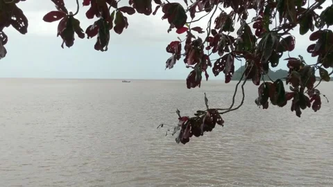 Without the vast expanse of ocean Stock Footage 262959294