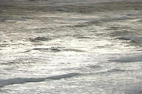 Withsae Video stock 285101