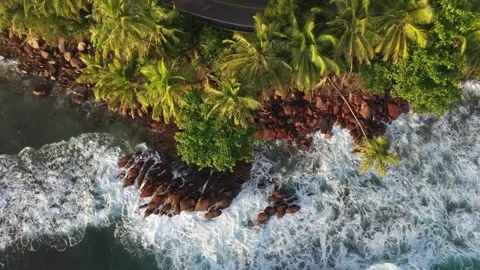 Wive, Nature, Sunset, Stock Footage 250227370