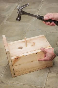 Wizard completes the assembly of the birdhouse Stock Photos
