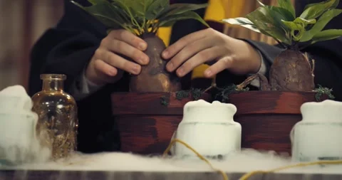 Wizardry school, botany class, student is putting mandragora root in flower pot Video stock 149036235