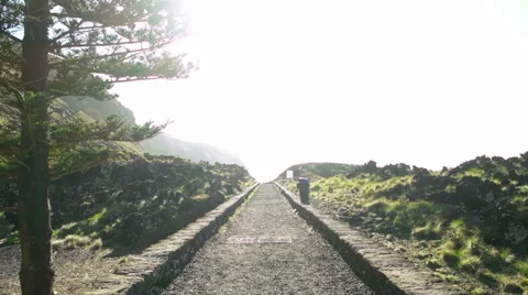 Wlaking on the Pathway Stock Footage 59982426