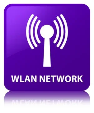 Wlan network purple square button Stock Illustration