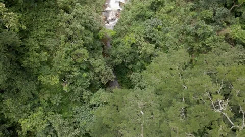 Wli Waterfalls: Top-down, tracking; Ghana/Togo drone 4K Stock-Footage 282741447