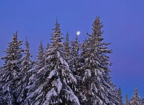 Wnter night Stock Photos