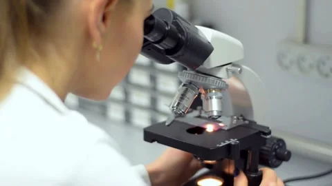 WNV under the microscope, research on its transmission through mosquitoes. Stock Footage 336583696