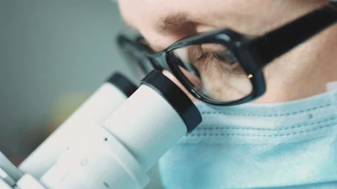 WNV under the microscope, research on its transmission through mosquitoes. Stock Footage 336583740
