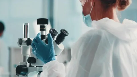 WNV under the microscope, research on its transmission through mosquitoes. Stock Footage 336583797