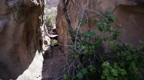 Woamn Rock Climbing Barefoot Stock Footage 48967894