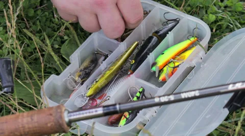 Wobbler Stock Footage 30645471