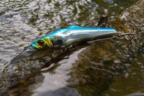 Wobbler is lying on a snag Stock Photos