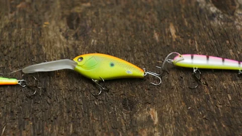 Wobblers close-up camera in motion Stock Footage 159671564