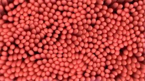 Wobbly Creature Stock Footage 115796784