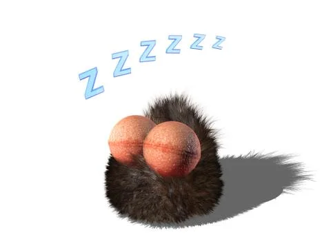 Wobby is sleeping Illustration