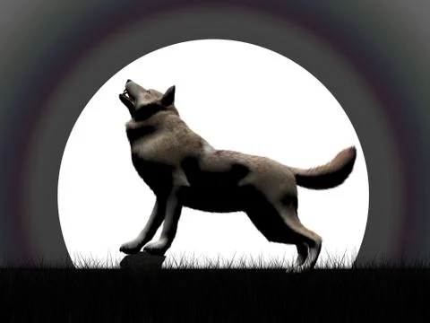 Wold howling at night - 3D render Stock Illustration