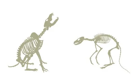 Wolf against fox skeleton vector silhouette illustration Stock Illustration