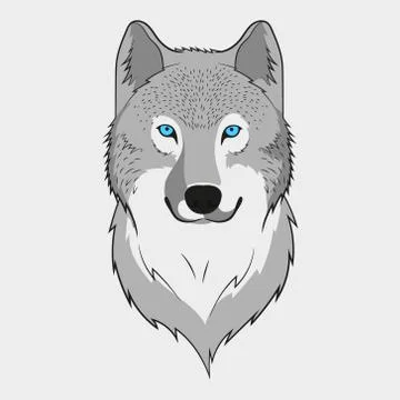 Wolf animal face. Grey wolf head. Vector illustration. Stock Illustration