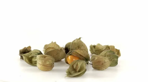 Wolf apples many top view Vidéo 23728503