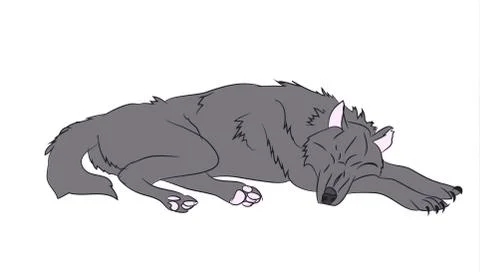 Wolf asleep, color, vector Illustrazione stock