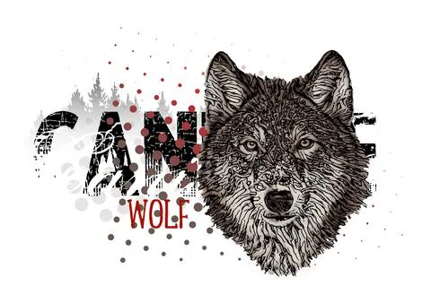 Wolf banner vector illustration Stock Illustration