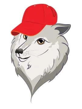 Wolf in Baseball Cap Stock Illustration