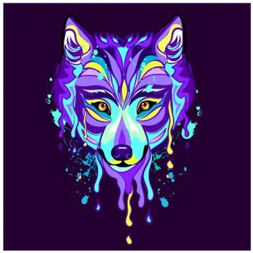 Wolf black back Stock Illustration
