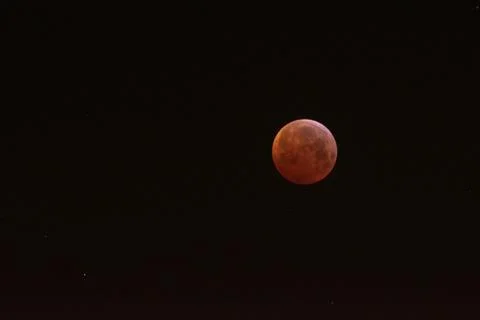 Wolf Blood Moon Stock-Fotos