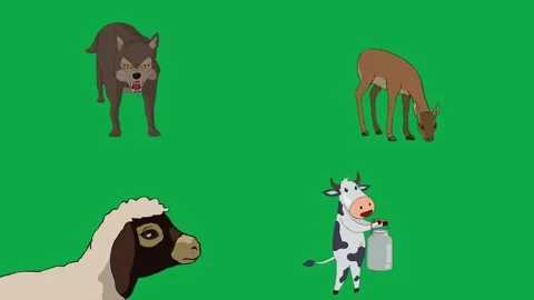 Wolf Deer Sheep Cow 2d animated cartoon character on green screen High quality Stock Footage 334703733