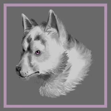 The Wolf Dog Illustrazione stock