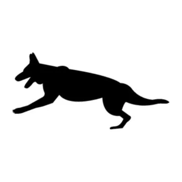 Wolf dog running Stock Illustration