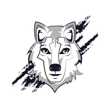 Wolf face cool sketch Stock Illustration